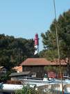Phare entre les pins
